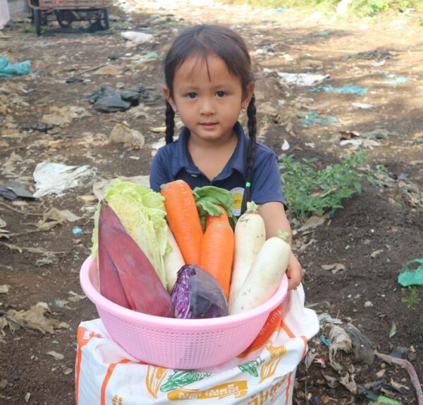 Little girl with braids holds a basket of vegetables and bag of rice